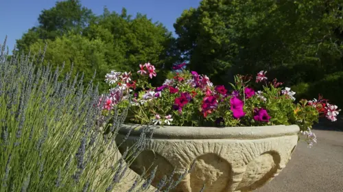 Campingplatz Domaine de la Paille Basse - Soulliac, Dordogne, Frankreich
