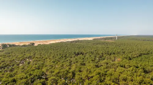 Campingplatz Le Vieux Port - Messanges, Nouvelle-Aquitaine, Südfrankreich