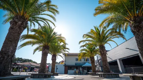 Campingplatz Le Vieux Port - Messanges, Nouvelle-Aquitaine, Südfrankreich